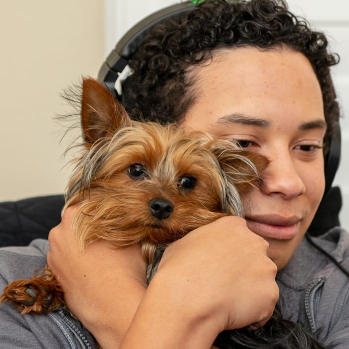 showing your yorkie extra love