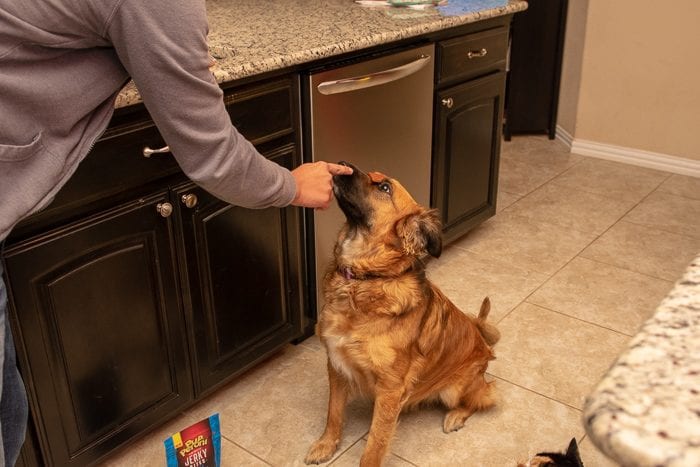 put a treat on your dog's nose