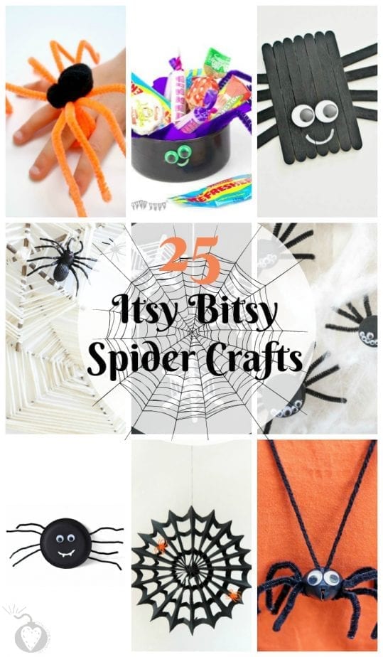 spider crafts