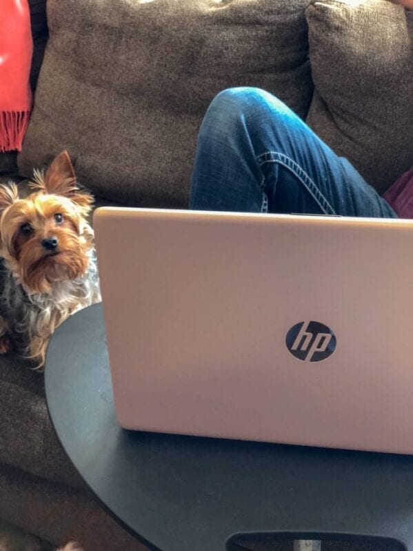 Why The HP PC Featuring Intel® Optane™ Memory Is the Perfect Gift For Yourself