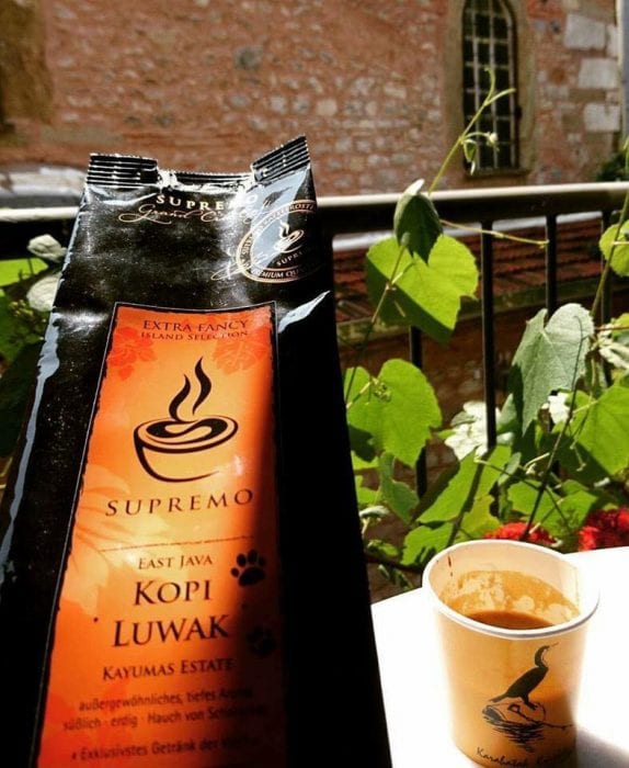 poop coffee