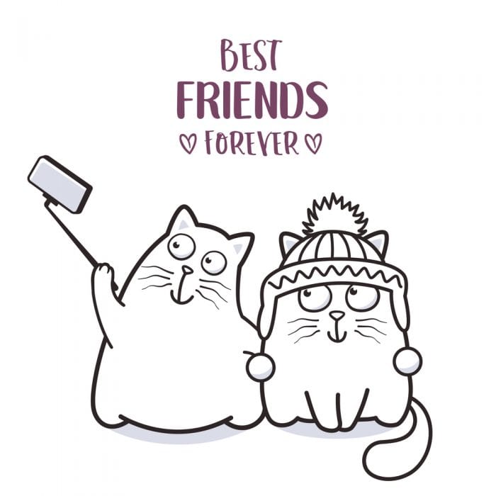 making adult friends