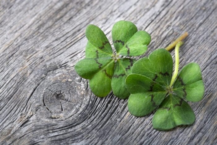 St. Patrick's Day facts
