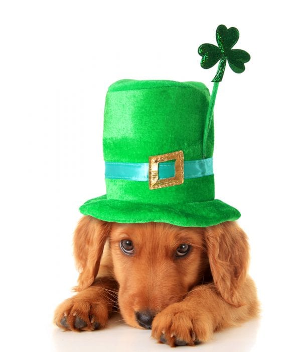 St. Patrick's Day