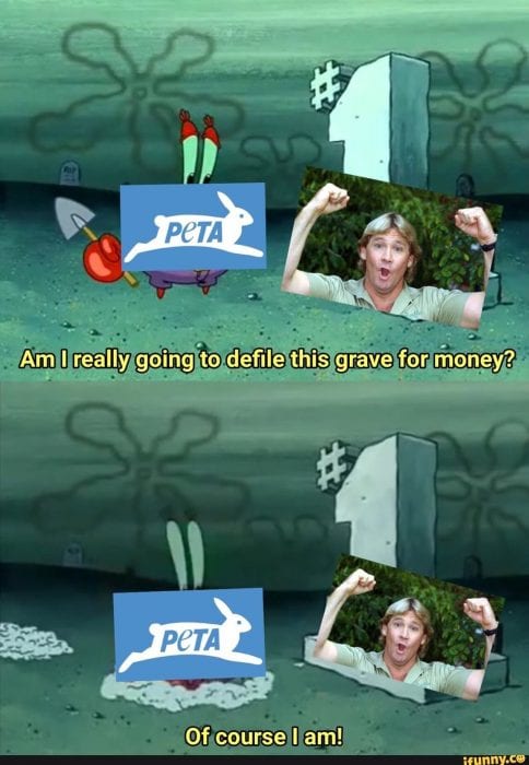 In this house, the internet defends Steve Irwin with memes
