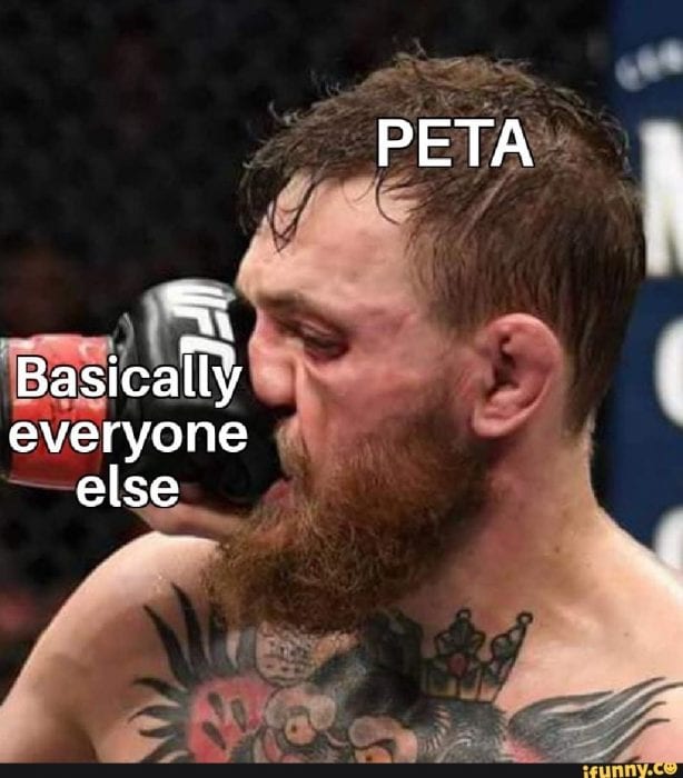 When PETA took a shot at beloved Steve Irwin, the internet did what it does bests--create memes