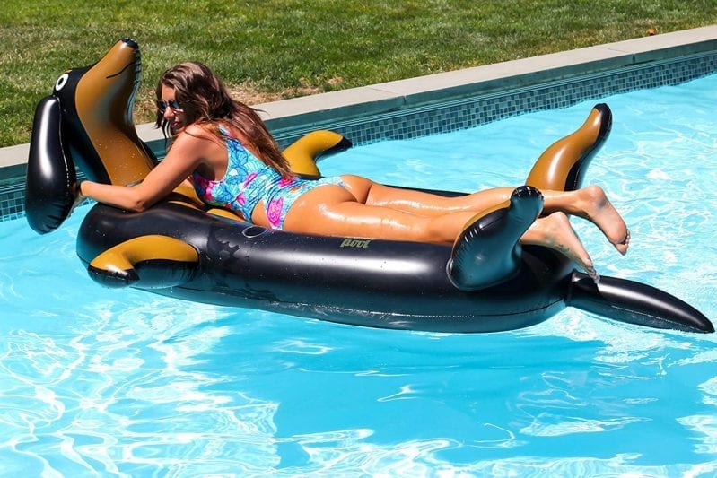 weiner dog pool float 4