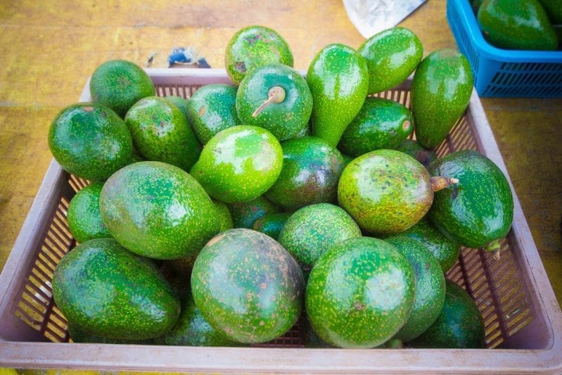 Thousands of Avocados Recalled Due to Listeria, Here’s What You Need to Know