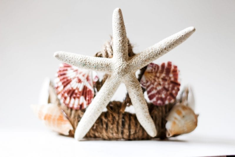 Magical Mermaid Crown