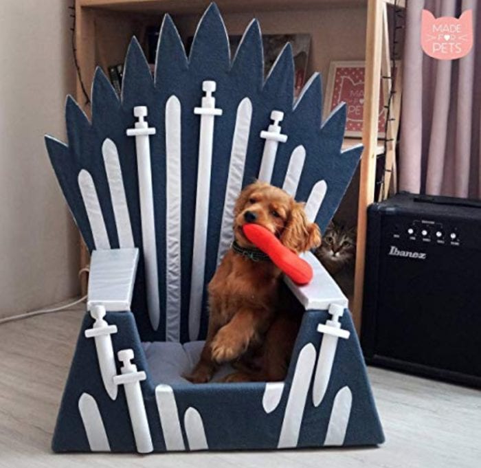 Game of Thrones pet bed with cute dog in it playing with a toy.