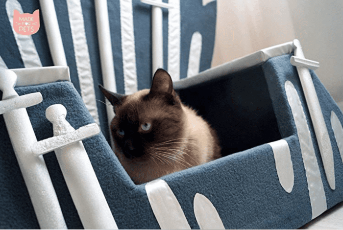 Game of Thrones cat bed with cat in it.
