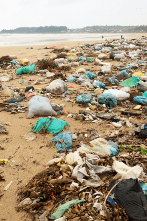 The Trash Tag Challenge is Sweeping Beaches. My faith in Humanity is Officially Restored. #trashtag #trashtagchallenge