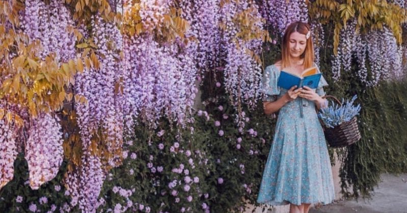 Wisteria Trees Are Real Life Fairy Trees, And You Can Get Them At Home Depot for Under 25 Bucks Right Now!