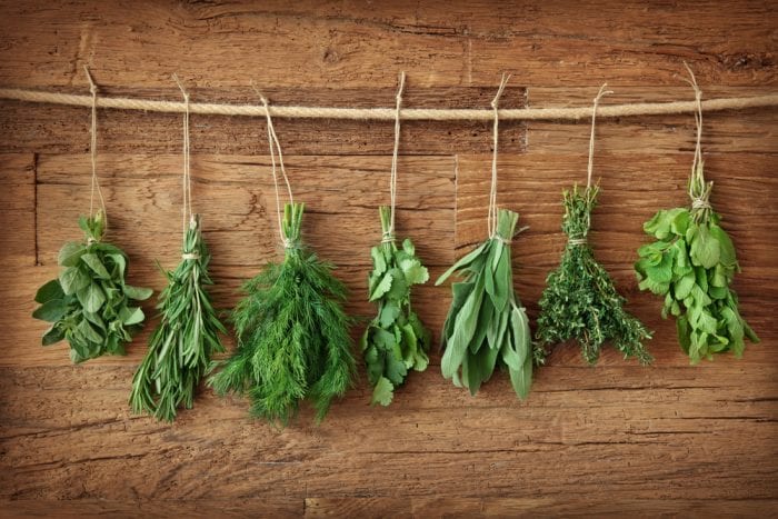 grow your own salsa