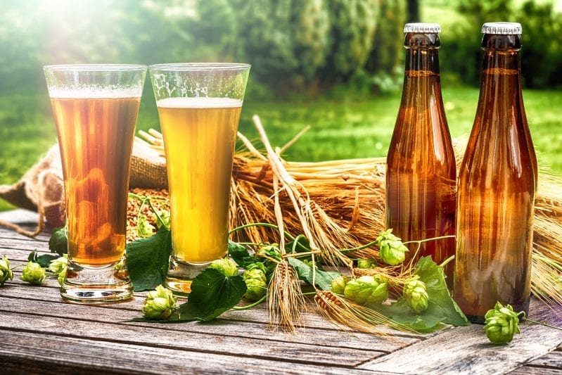 How to Grow Your Own Beer Garden