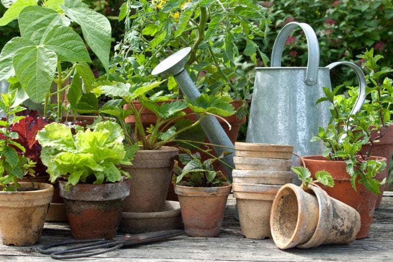 When it comes to making your patio an inviting entertaining space you can't go wrong with surrounding your space with plenty of live plants. #gardening #patiogardening #patiogarden #patioplants