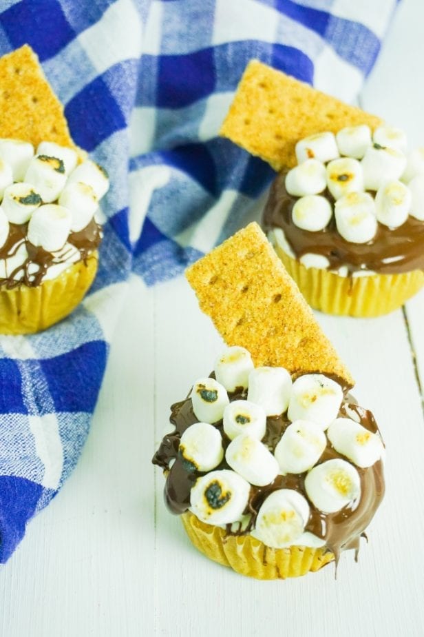 I love s'mores so much, but I hate mosquitos, so I say, Screw the Campfire, I'm Making S'mores Cupcakes! #smores #smorescupcakes #s'mores