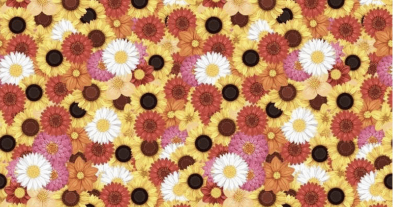 Nobody Can Find The Hidden Bee In This Picture