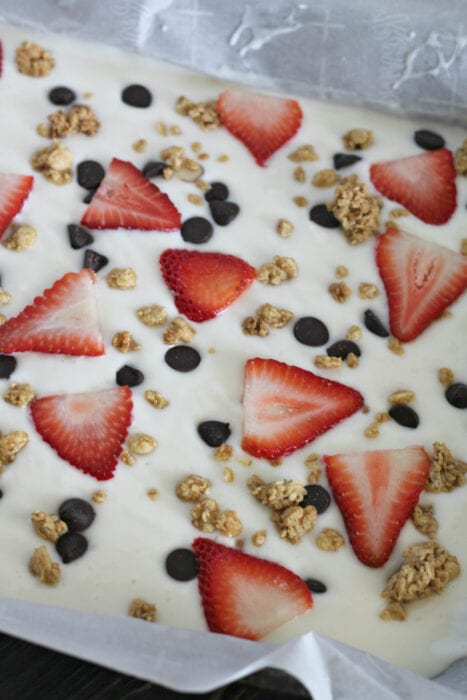 frozen yogurt bark mixture before being put in the freezer