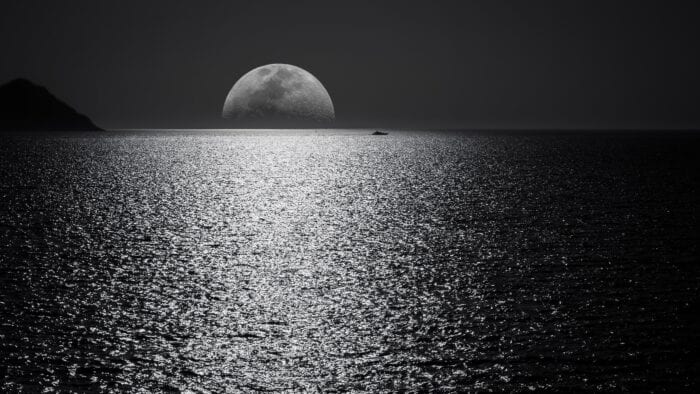 New Moons and Black Moons are similiar, but Black Moons are much more rare