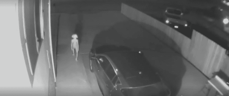 This Woman Caught A Dobby Looking Creature On Her Camera