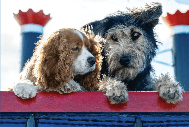 The First Look at Disney’s Live Action ‘Lady And The Tramp’ Is Here