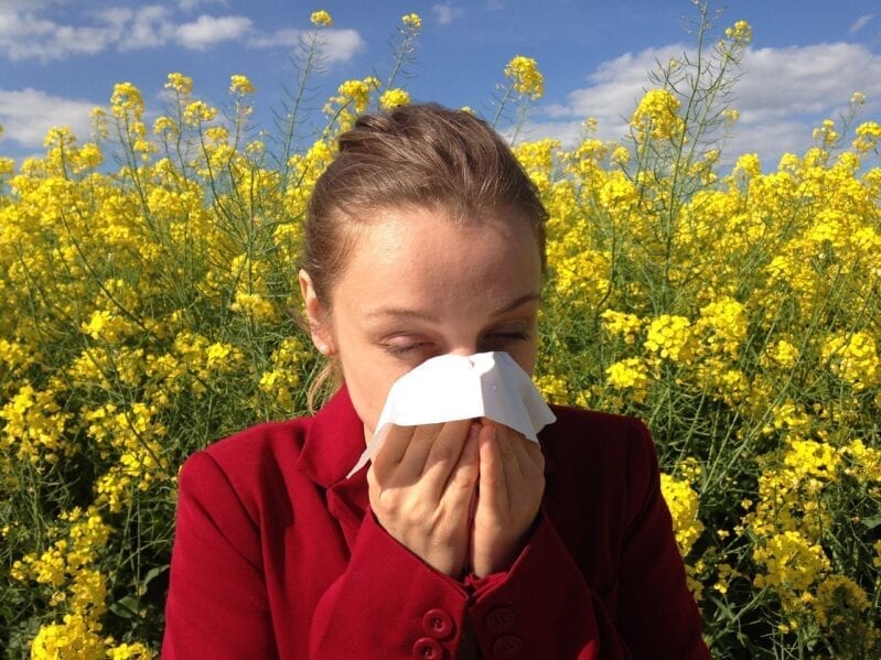 Eggsland’s Best Claims Their Eggs Fight Allergies