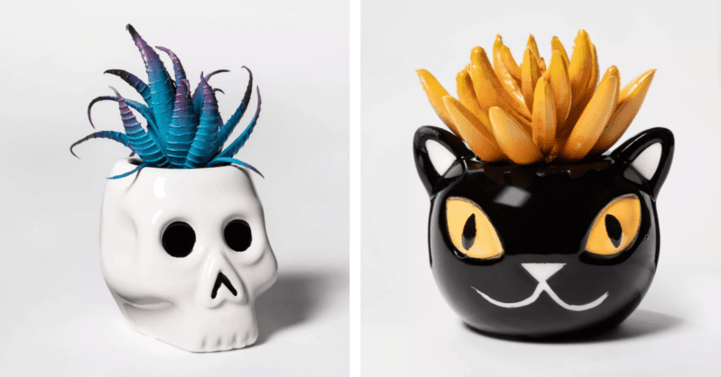 I am OBSESSED With Target’s Halloween Succulents