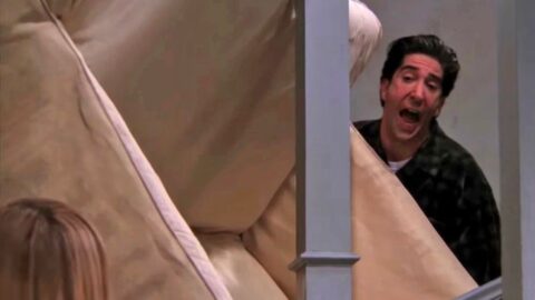 If You Google ‘Friends Ross’, Ross Will PIVOT With You