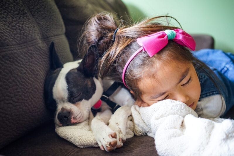 Study Shows Ladies Sleep Better With Dogs. I Knew It!