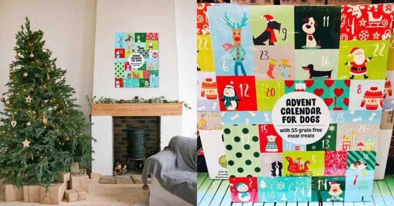 Sam’s Club Is Selling Dog Advent Calendars Filled with Meat Treats