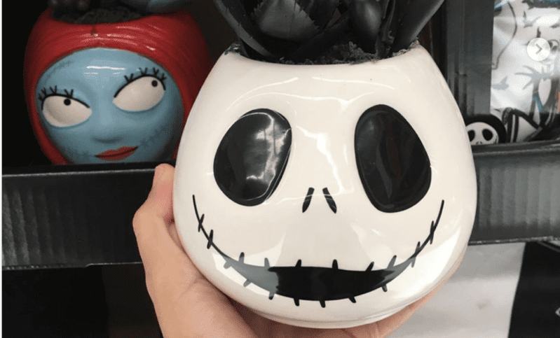 Walgreens Is Selling Nightmare Before Christmas Succulents