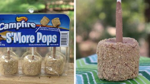 Walmart Is Selling Campfire S’Mores Pops And They Are GOOD