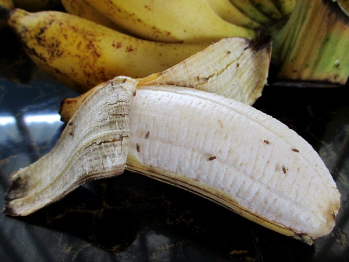 how do you keep fruit flies away from your fruit