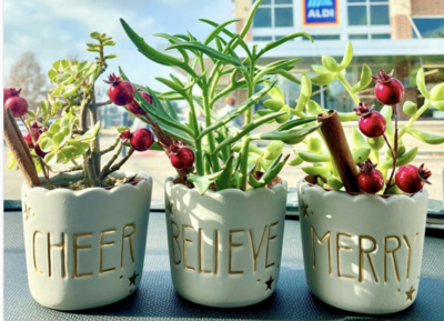 Aldi is Selling $4 Holiday Succulents to Make Your Days Merry and Bright