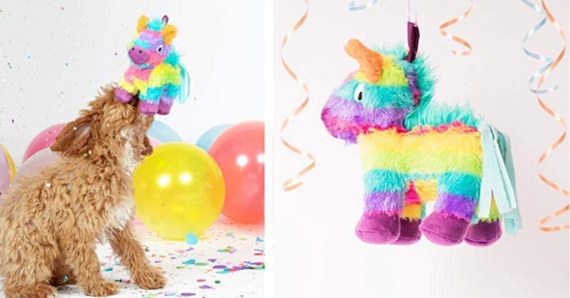 These Toys Have A Second One Inside For The Dog That Destroys Toys Fast