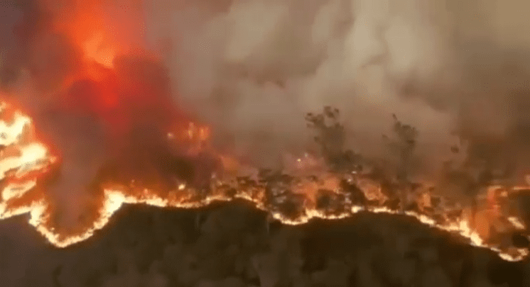 24 People Have Been Charged With Arson In The Australian Bushfires