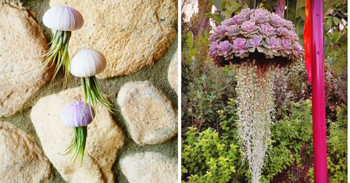 diffuser for plants Plug-in Scent Diffuser Kit (Small Space) Includes Scent main image 0
