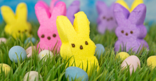 Don’t Forget About The Easter Bunny While You’re Confined To Your Home