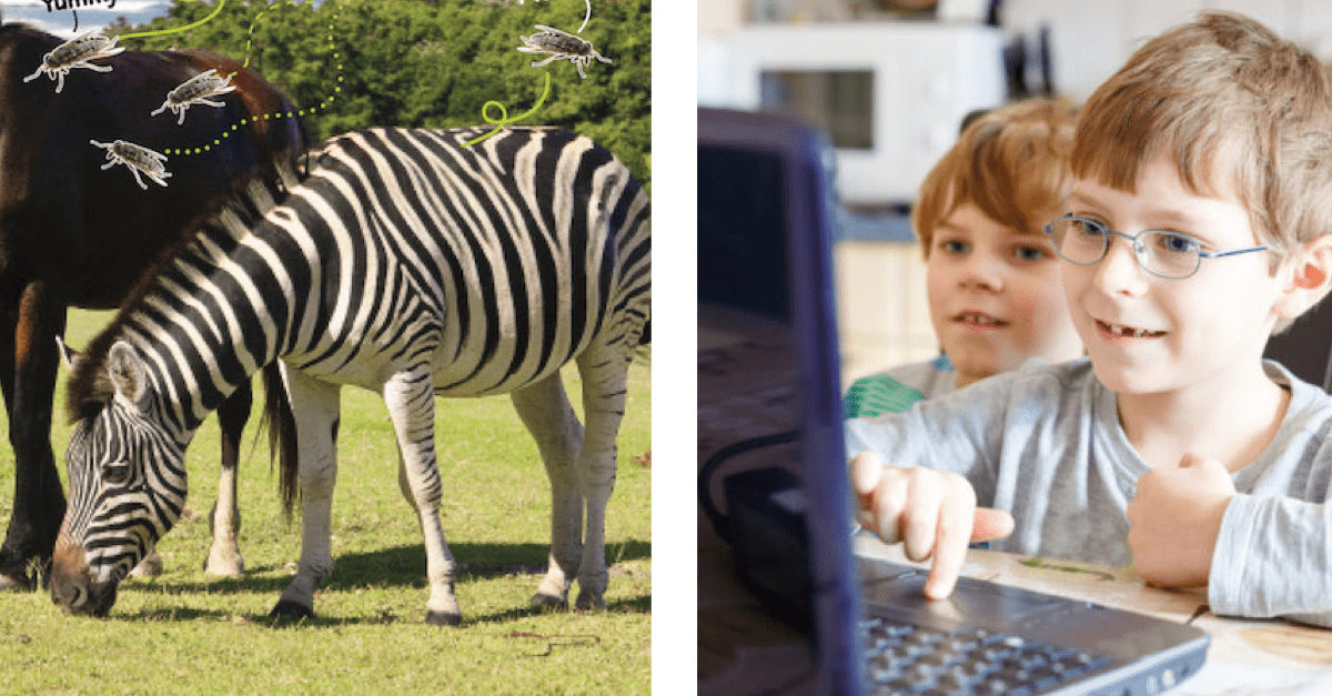 Scholastic Is Offering Free Online Classes For Your Kids While Schools Are Closed
