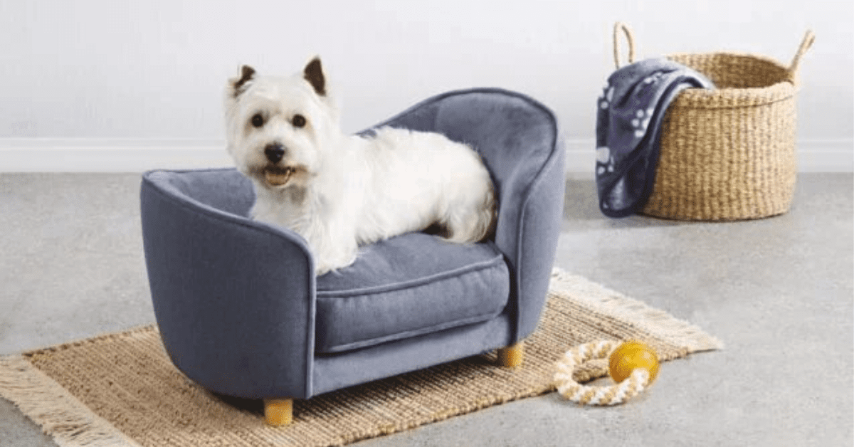 Aldi Is Selling Tiny Sofa Beds For Your Dog and I Want One