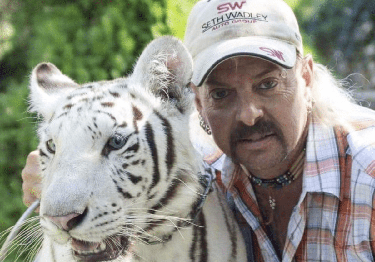 10 Reasons Everyone Needs to Binge Watch ‘The Tiger King’