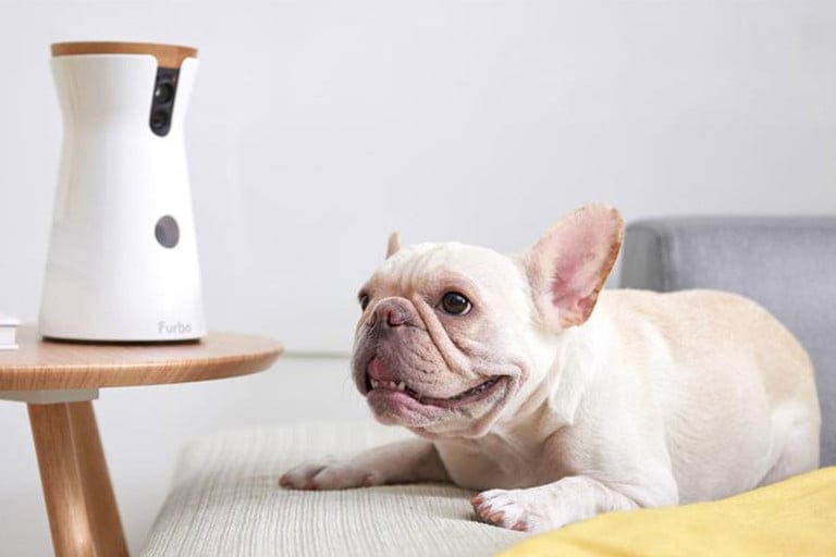 Health Care Workers Can Get A Free Furbo Dog Camera. Here’s How