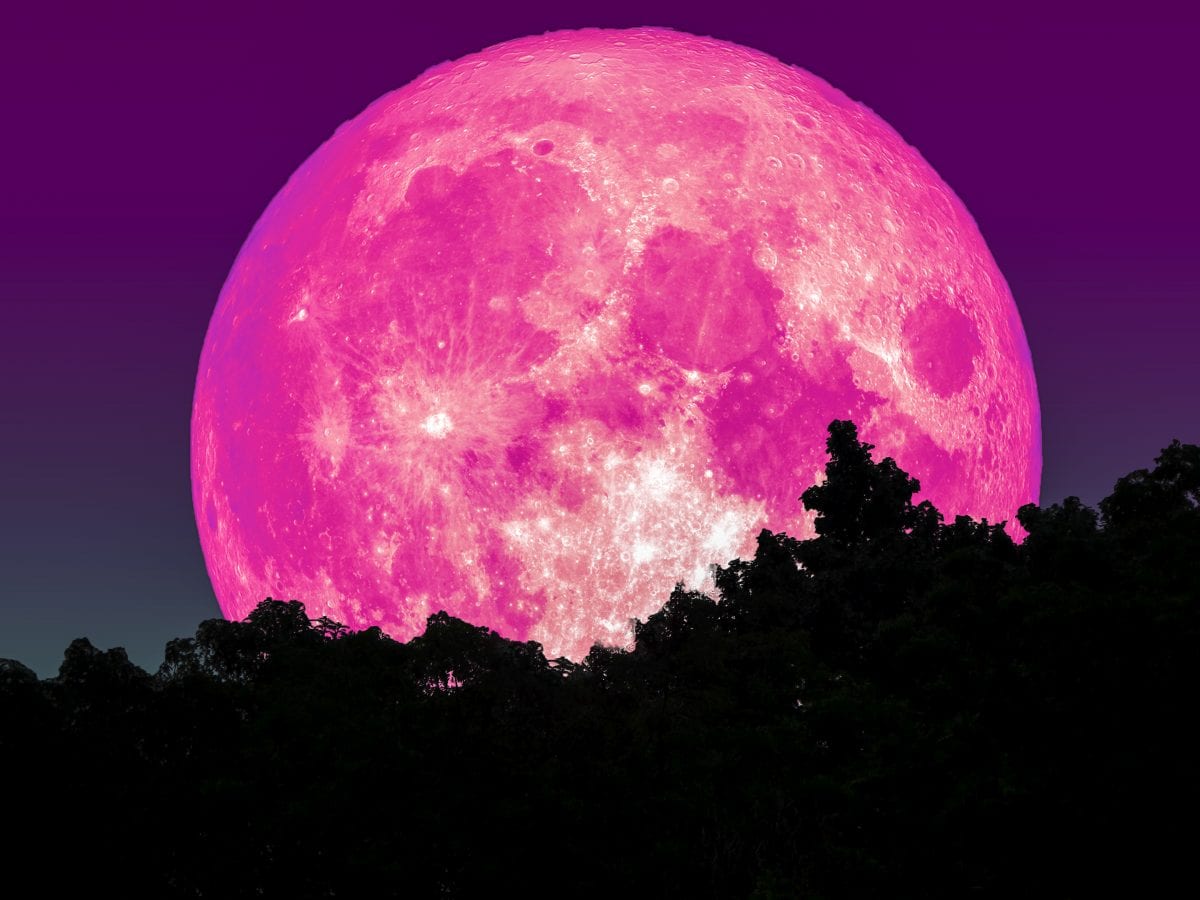 You’ll Be Able To See April’s Super Pink Moon Tonight. Here’s How.