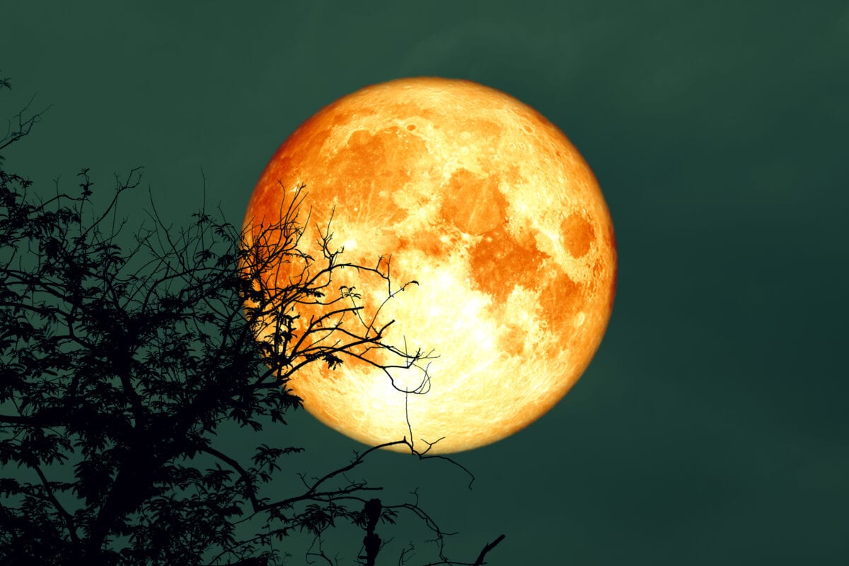 You’ll Be Able To See The ‘Full Worm’ Supermoon Monday. Here’s How.