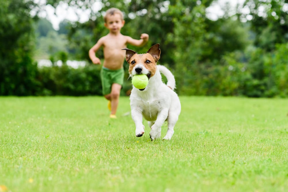 Games And Activities That Will Get Your Family Moving At Home
