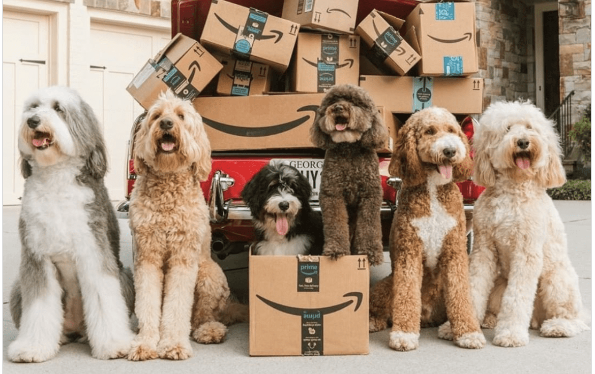 Amazon Will Soon Begin Allowing Non-Essential Product Sales