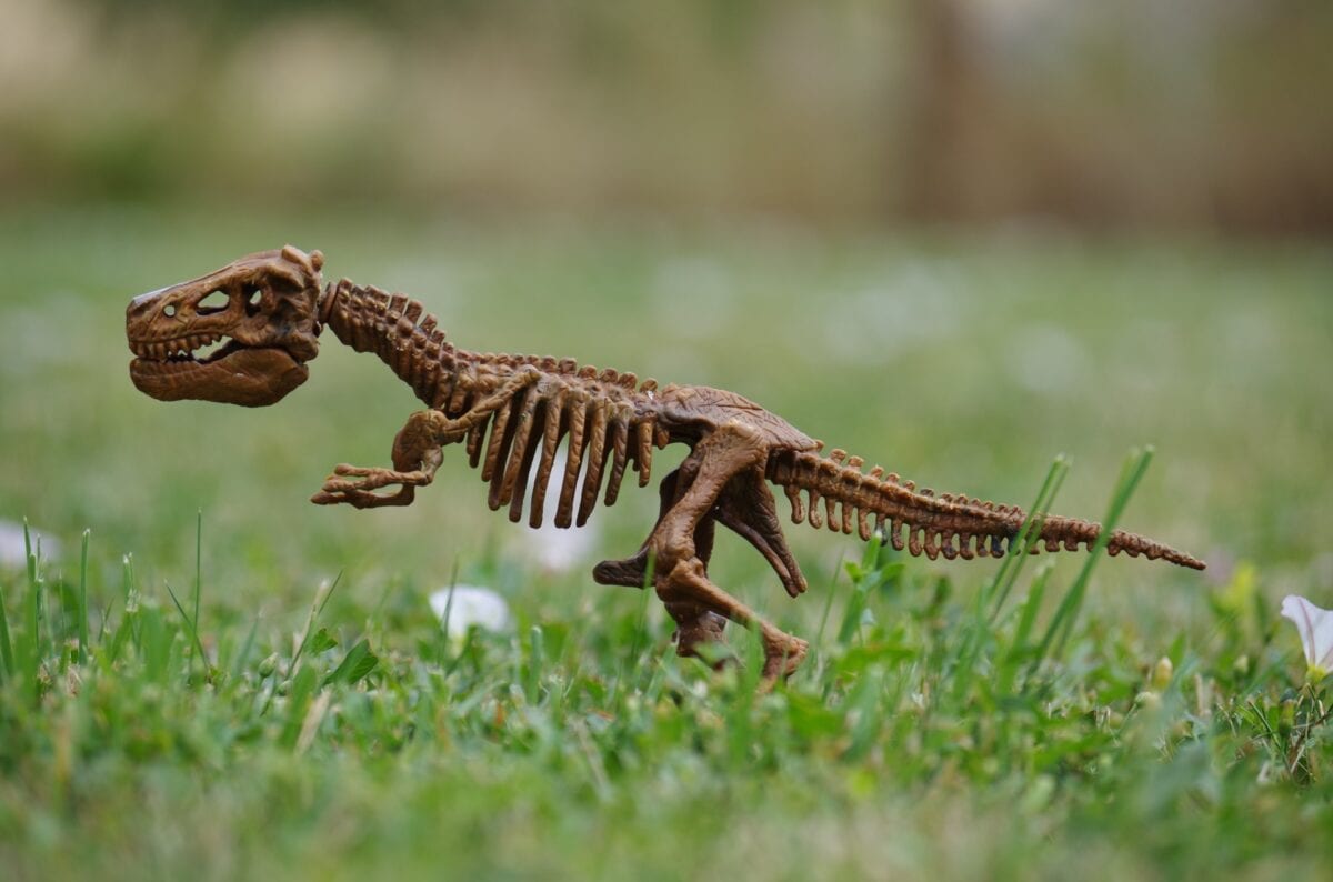I Am So Bad At Homeschooling I Just Told My Kid A Dinosaur Ate Rosa Parks