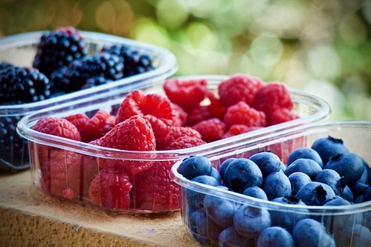 How Long Are Freezer Foods Good? Here’s What You Need To Know.