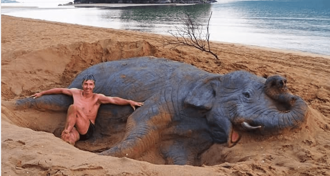 This Artist Creates Sand Sculptures That Look Just Like Live Animals and They’re Incredible
